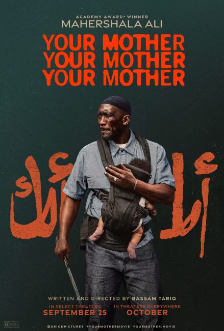 صورة الغلاف